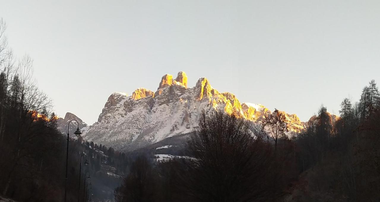 Casa Renzo - Dolomiti - Trentino Apartment Мецано Екстериор снимка