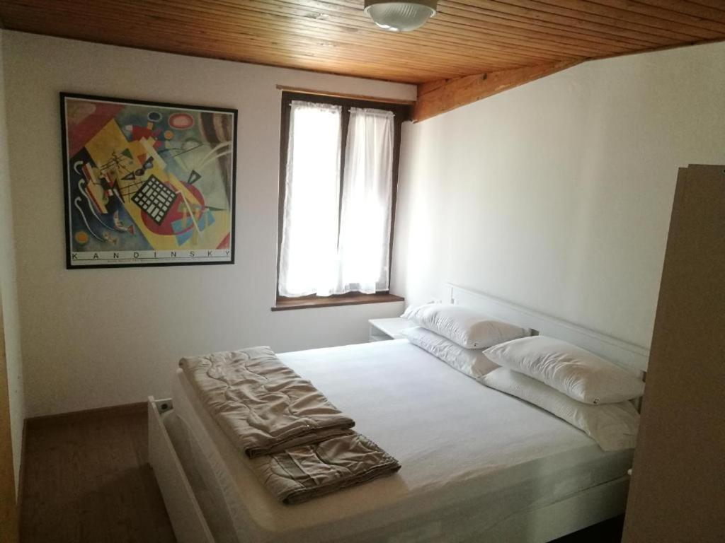 Casa Renzo - Dolomiti - Trentino Apartment Мецано Екстериор снимка